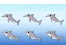 How Many Dolphins Are in the Picture?